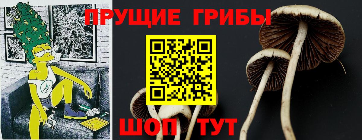 Луга  Псилоцибиновые грибы Magic Shrooms  Вход с VPN  Галлюциногенные грибы прущие грибы 