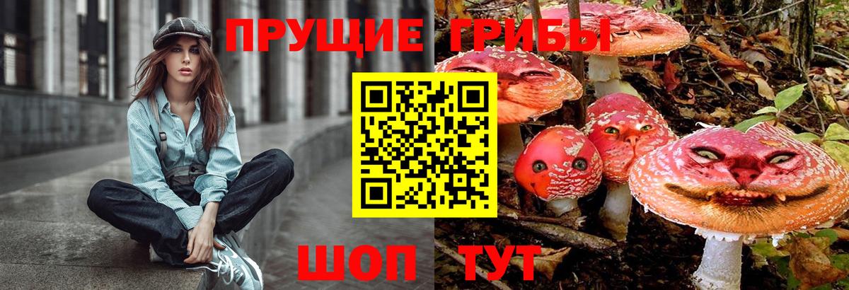 Псилоцибиновые грибы мухоморы Луга